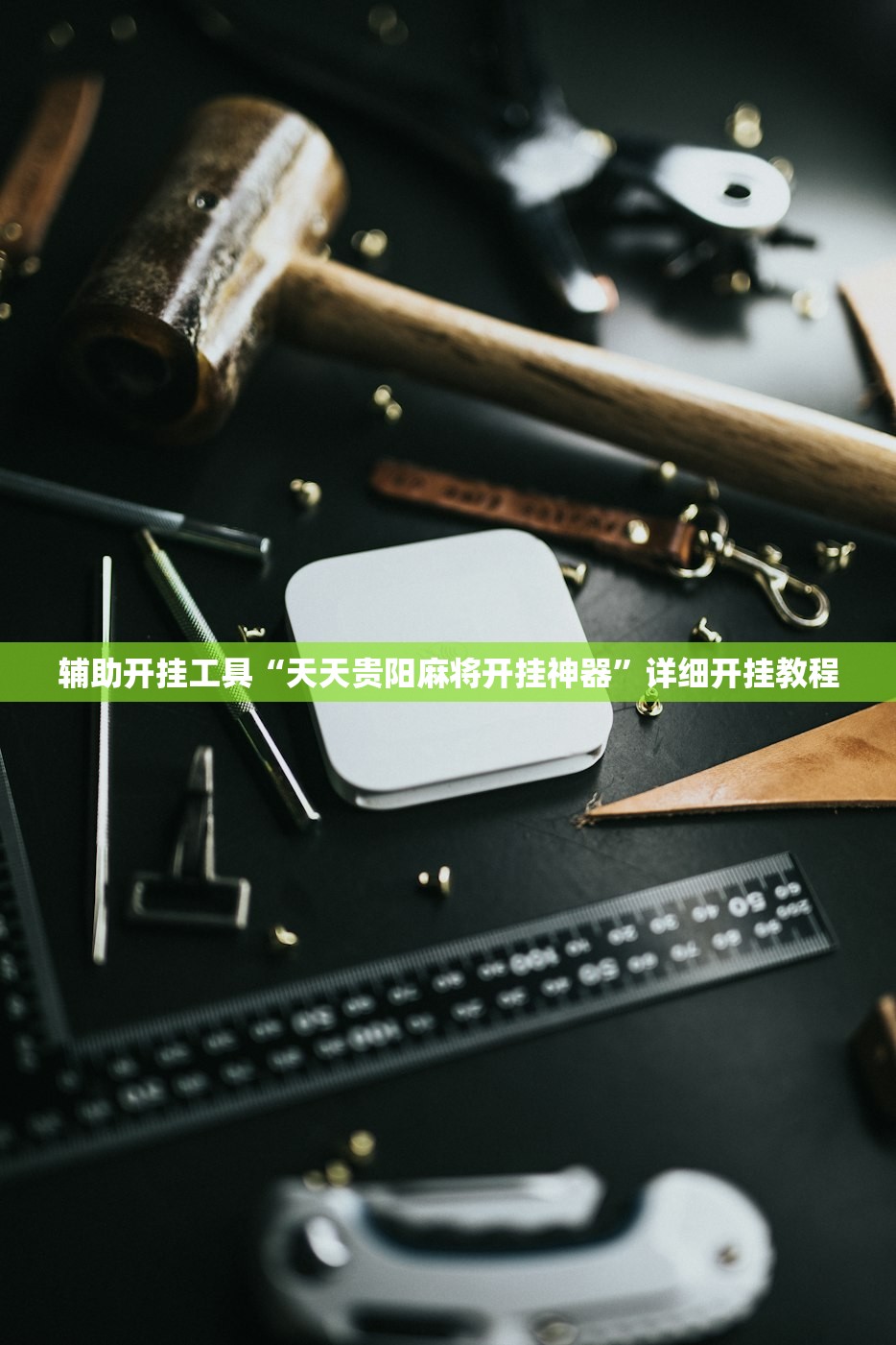 辅助开挂工具“天天贵阳麻将开挂神器”详细开挂教程