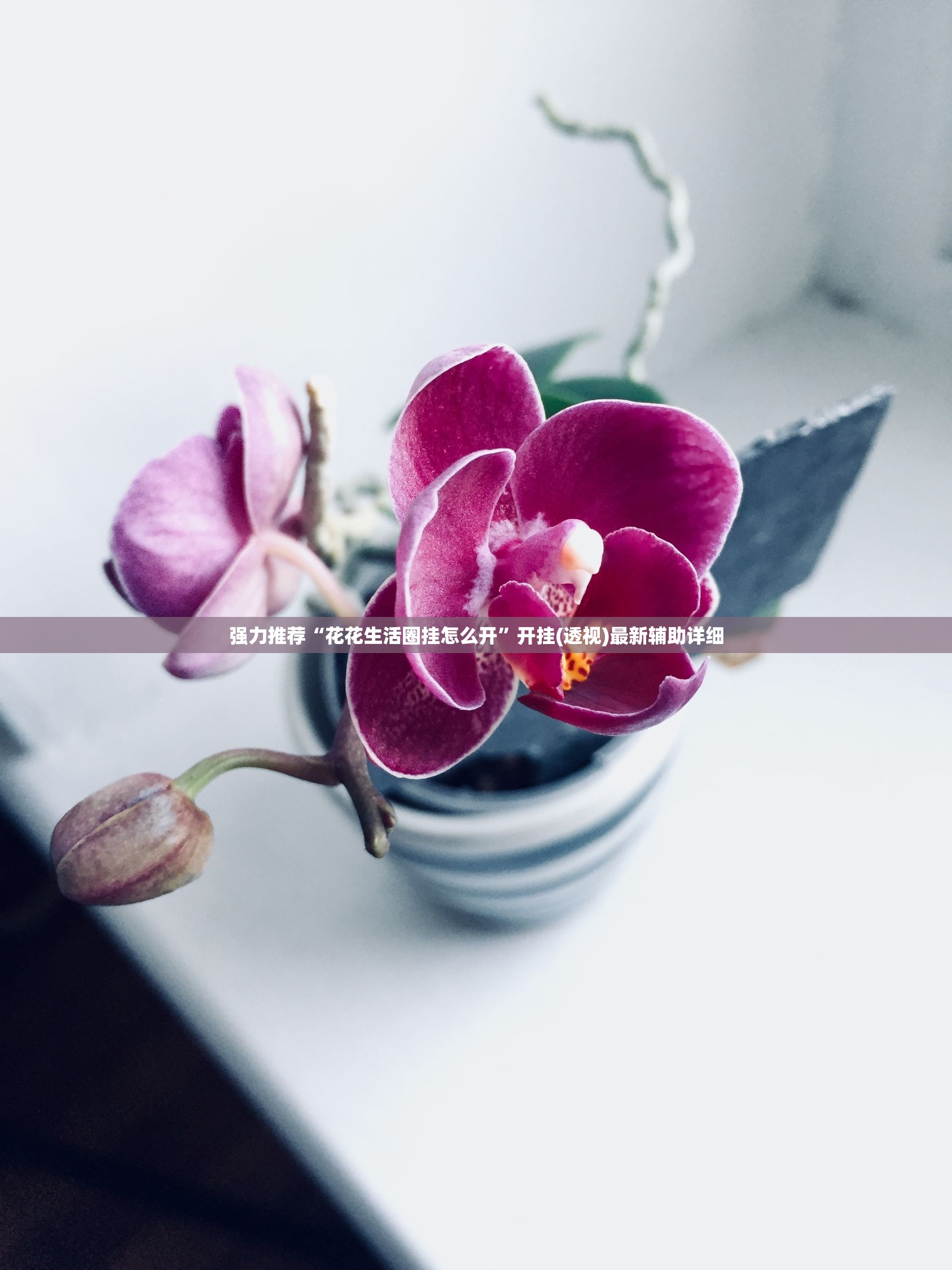 强力推荐“花花生活圈挂怎么开”开挂(透视)最新辅助详细