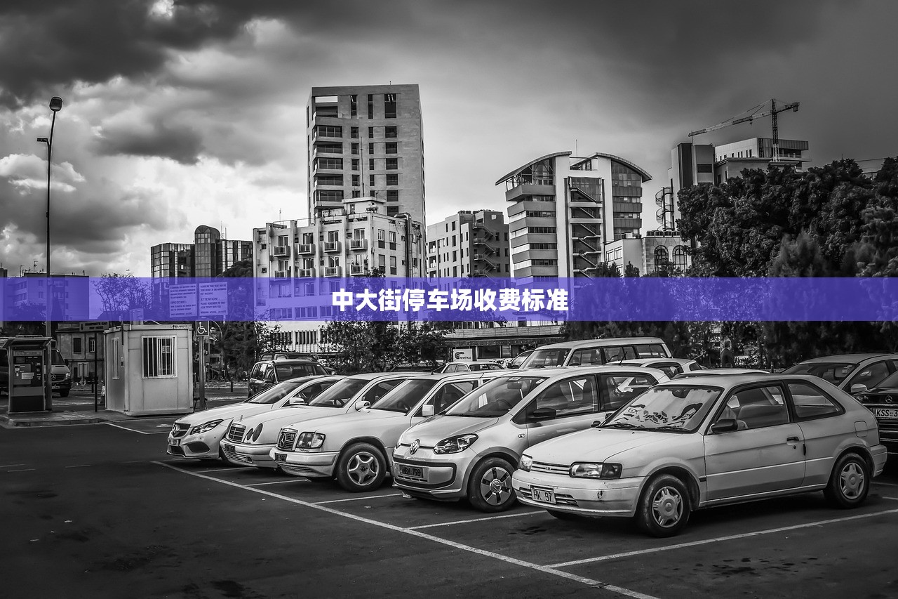 中大街停车场收费标准 中大街停车场收费标准