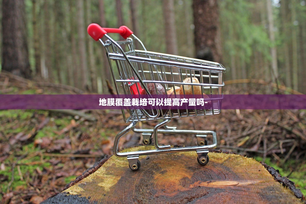 地膜覆盖栽培可以提高产量吗- 地膜覆盖栽培可以提高产量吗-